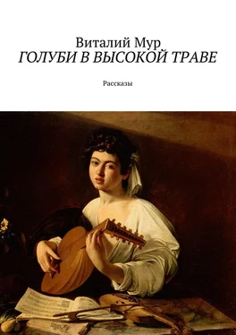 Виталий Мур Голуби в высокой траве. Рассказы обложка книги