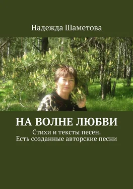 Надежда Шаметова На волне любви. Стихи и тексты песен. Есть созданные авторские песни обложка книги