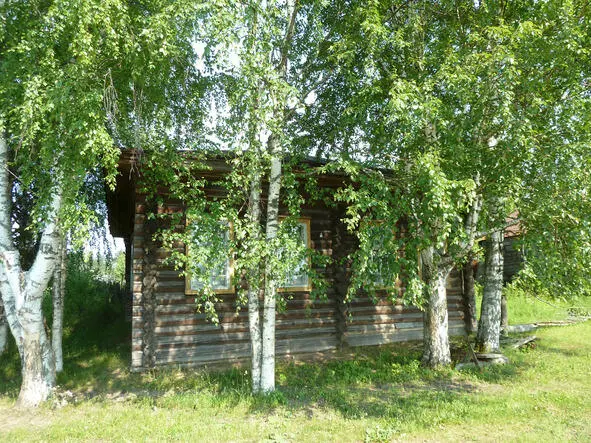 Вотчина 2011 И еще Кажется мне что тогда при первом самом свежем - фото 2