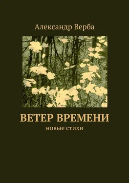 Александр Верба Ветер времени. Новые стихи обложка книги