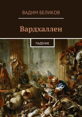 Вадим Беликов Вардхаллен. Падение обложка книги