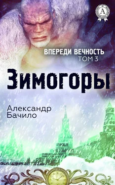 Александр Бачило Зимогоры обложка книги