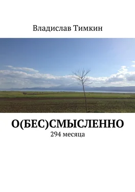 Владислав Тимкин О(бес)смысленно. 294 месяца обложка книги