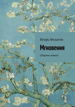 Игорь Филатов Мгновения. Сборник новелл обложка книги