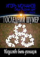 Игорь Молчанов - Последний Шумер. Искусство быть учеником