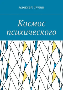 Алексей Тулин Космос психического обложка книги