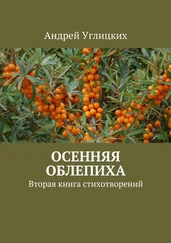 Андрей Углицких - Осенняя облепиха. Вторая книга стихотворений