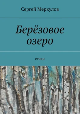 Сергей Меркулов Берёзовое озеро. Стихи обложка книги