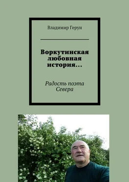 Владимир Герун Воркутинская любовная история… Радость поэта Севера обложка книги