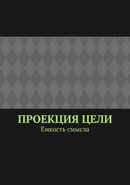 Марсель Шафеев Проекция цели. Ёмкость смысла обложка книги