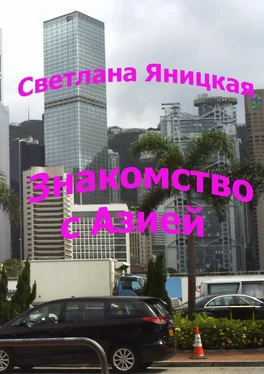 Светлана Яницкая Знакомство с Азией обложка книги