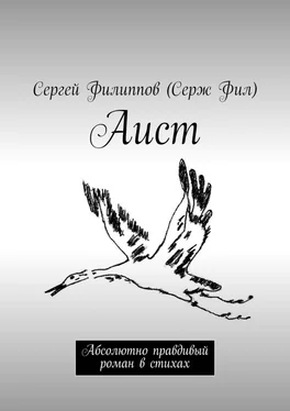 Сергей Филиппов (Серж Фил) Аист. Абсолютно правдивый роман в стихах обложка книги