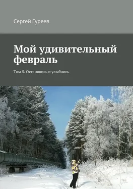 Сергей Гуреев Мой удивительный февраль. Том 5. Остановись и улыбнись обложка книги