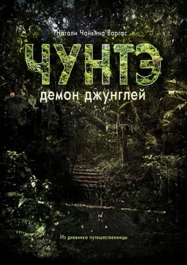 Наталия Чайкина Варгас Чунтэ – демон джунглей обложка книги