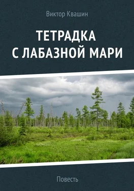 Виктор Квашин Тетрадка с лабазной мари обложка книги