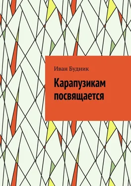 Иван Будник Карапузикам посвящается обложка книги