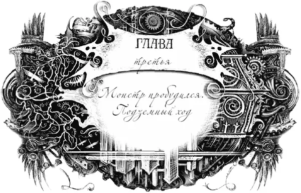 Лес Летучие мыши вовсе не злые Они просто самые маленькие в десятке волшебных - фото 6