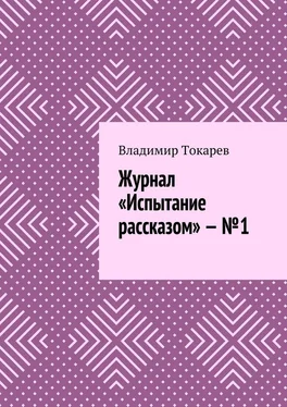 Владимир Токарев Журнал «Испытание рассказом» – №1 обложка книги