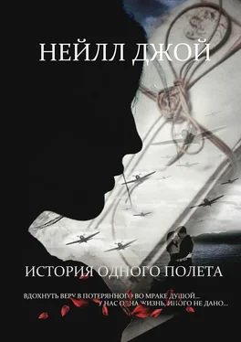 Нейлл Джой История одного полета обложка книги