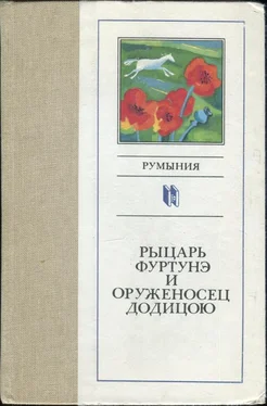 Ана Бландиана Рыцарь Фуртунэ и оруженосец Додицою обложка книги