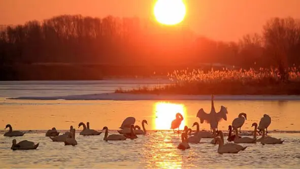 Вольемся в царство откровенья В наш мелодичный разговор Переполняет - фото 11