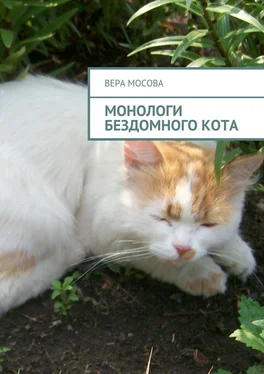 Вера Мосова Монологи бездомного кота обложка книги