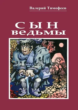 Валерий Тимофеев Сын ведьмы. Волшебная сказка обложка книги