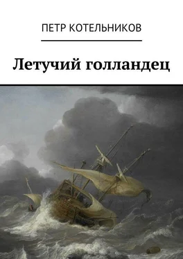 Петр Котельников Летучий голландец обложка книги