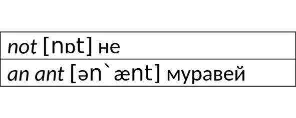 an ant Посмотри перед словом ant артикль уже не a а an Так он - фото 14