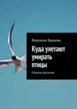 Вероника Бардова Куда улетают умирать птицы. Сборник рассказов обложка книги