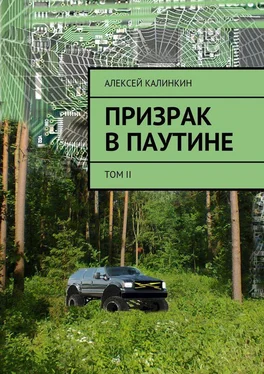 Алексей Калинкин Призрак в паутине. Том II обложка книги