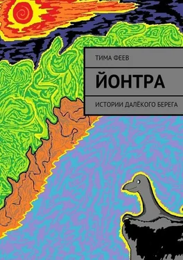 Тима Феев Йонтра. Истории далёкого берега обложка книги