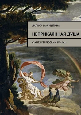 Лариса Малмыгина Неприкаянная душа. Фантастический роман обложка книги