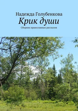 Надежда Голубенкова Крик души. Сборник православных рассказов обложка книги