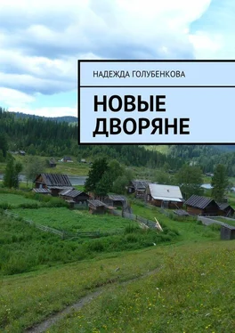 Надежда Голубенкова Новые дворяне. Роман в двух частях обложка книги