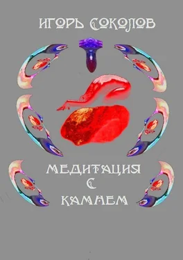 Игорь Соколов Медитация с камнем обложка книги