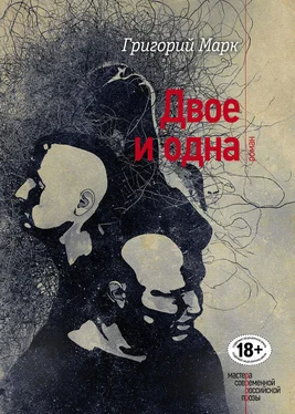 Григорий Марк Двое и одна обложка книги