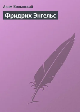 Аким Волынский Фридрих Энгельс обложка книги