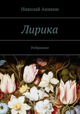 Николай Аникин Лирика. Избранное обложка книги