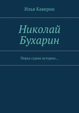 Илья Каверин Николай Бухарин. Перед судом истории… обложка книги