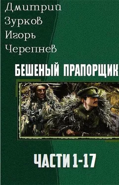 Дмитрий Зурков Бешеный прапорщик. Части 1-17 обложка книги