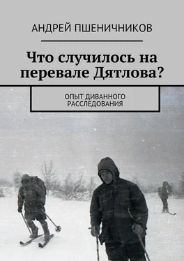 Андрей Пшеничников Что случилось на перевале Дятлова? Опыт диванного расследования обложка книги