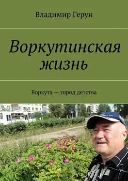 Владимир Герун Воркутинская жизнь. Воркута – город детства обложка книги