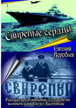 Евгений Воробьев Свирепые сердца. Рассказ-воспоминание о службе на военном корабле в г. Балтийске обложка книги