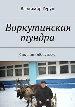 Владимир Герун Воркутинская тундра. Северная любовь поэта обложка книги