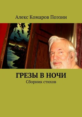 Алекс Комаров Поэзии Грезы в ночи. Сборник стихов обложка книги