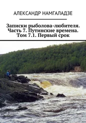 Александр Намгаладзе - Записки рыболова-любителя. Часть 7. Путинские времена. Том 7.1. Первый срок