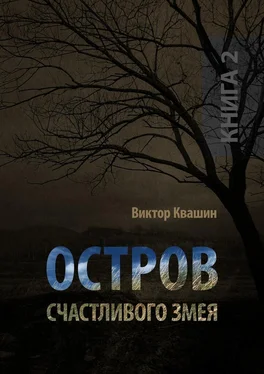 Виктор Квашин Остров счастливого змея. Книга 2 обложка книги