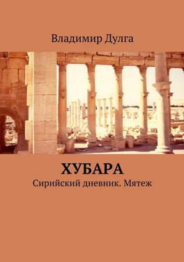 Владимир Дулга Хубара. Сирийский дневник. Мятеж обложка книги