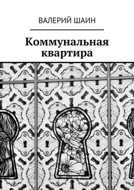 Валерий Шаин Коммунальная квартира обложка книги